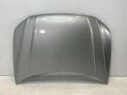 Motorhaube VW TIGUAN (AD1) 2.0 TDI 4motion 5NA823031H
