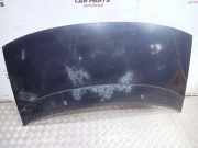 Motorhaube VW Sharan (7M)