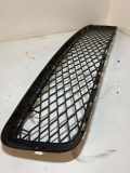 Vorderer oberer Gitter BMW X5 (E70) xDrive 30 d
