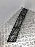 Gitter vorne unten BMW 5 (F10) 520 d
