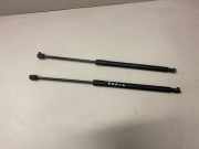 Heckklappe Gasdruckfeder links SKODA FABIA II (542) 1.9 TDI 2206YG0440N