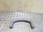 Dachgriff vorne links NISSAN PATHFINDER III (R51) 2.5 dCi 4WD