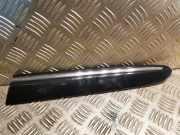 Kotflügelzierleiste hinten links MERCEDES-BENZ CLK (C209) 320 CDI (209.320) 2096902562