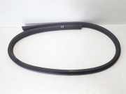 Türgummi links vorne Volvo C30 (533)