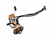 Kraftstoffpumpe BMW X6 (E71, E72)