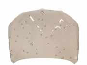 Motorhaube BMW X1 (F48)