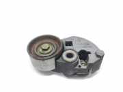 Kettenspanner für Ölpumpenantrieb Seat Altea XL (5P) 2441027000