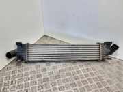 Ladeluftkühler Ford Focus II Turnier (DA, DS, FFS) 3M5H9L440AE