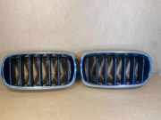 Vorderer oberer Gitter BMW X5 (F15, F85) M 50 d 7316076