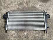 Ladeluftkühler OPEL INSIGNIA A (G09) 2.0 Biturbo CDTI (68) 13241751