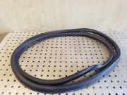 Türgummi rechts vorne VW Tiguan I (5N) 5N0867911