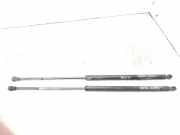 Heckklappe Gasdruckfeder links RENAULT KOLEOS I (HY_) 2.0 dCi 4x4 (HY0K) 904513981R