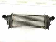 Ladeluftkühler MERCEDES-BENZ R (W251, V251) R 350 CDI 4-matic (251.124, 251.125) 1645001900