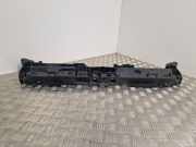 Zier-/Schutzleistensatz für Kühlergitter Renault Clio III (BR0/1, CR0/1) 625003860R
