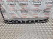 Pralldämpfer vorne VW Passat B6 (3C2)