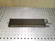 Kraftstoffkühler VW Passat B6 Variant (3C5)