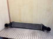 Ladeluftkühler Mercedes-Benz E-Klasse (W211) G1592000