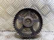 Auslassvanos VW GOLF III (1H1) 1.9 TDI 038109111A