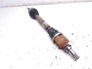 Nebelscheinwerfer links RENAULT MEGANE II (BM0/1_, CM0/1_) 1.5 dCi (BM0F, CM0F)