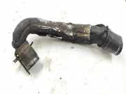 Andere Röhren CITROËN XSARA PICASSO (N68) 2.0 HDi