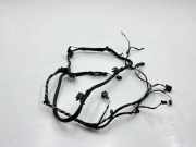 Kabelbaum AUDI A7 Sportback (4GA, 4GF) 3.0 TDI quattro 3B0972712