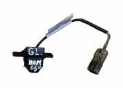 Heckklappe Rückfahrkamera OPEL AMPERA EV 150 20860481