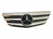 Vorderer oberer Gitter MERCEDES-BENZ B (W245) B 200 CDI (245.208) A1698881660