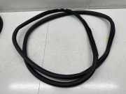 Türgummi rechts vorne Peugeot 3008 II (MC, MR, MJ, M4)