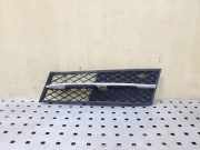 Gitter vorne unten BMW 5 (F10) 520 d 7200699