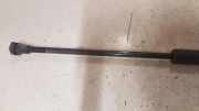 Heckklappe Gasdruckfeder rechts TOYOTA AVENSIS Estate (_T25_) 2.2 D-CAT (ADT251_) 8695005072