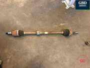 Kardanwelle Ford Focus III (DYB) JX673B436CAH