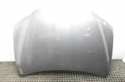 Motorhaube LEXUS CT (ZWA10_) 200h (ZWA10_) 1H9