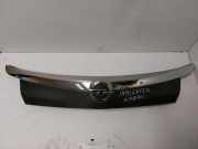 Kennzeichenbeleuchtung OPEL INSIGNIA A Sedan (G09) 2.0 CDTI (69) 13272845