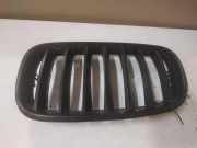 Gitter Grill vorne rechts BMW X5 (E70) xDrive 30 d