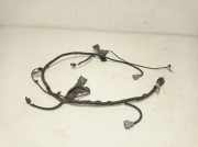 Kabelbaum Kia Sportage 3 (SL) 918803U060