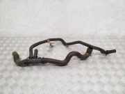 Kühlerschlauch Renault Clio III (BR0/1, CR0/1) 215038371R