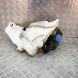 Fensterwaschtank AUDI A5 Sportback (8TA) 2.0 TDI 8T2955463B