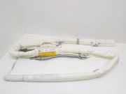 Dach SRS rechts VW GOLF V Variant (1K5) 1.9 TDI ZRZHKSX53UX 1K9880741C