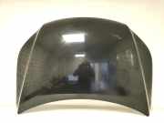 Motorhaube VW TIGUAN (5N_) 2.0 TDI 5N0823031D