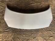 Motorhaube RENAULT GRAND SCÉNIC II (JM0/1_) 1.5 dCi (JM02, JM13)