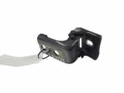 Türscharnier hinten rechts Citroen DS5 ()