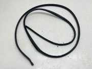 Türdichtung VW Transporter T6 Kasten () 7F7837761