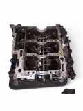 Motorblock AUDI A6 Avant (4F5, C6) 2.7 TDI 059103023D