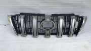 Vorderer oberer Gitter TOYOTA LAND CRUISER (_J15_) 2.8 D-4D (GDJ150_, GDJ155_) 5311160A70
