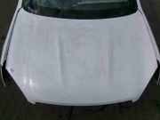 Motorhaube Nissan Qashqai (J10)