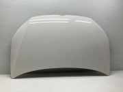 Motorhaube VW CADDY III Furgon (2KA, 2KH, 2CA, 2CH) 1.6 BiFuel 0823155