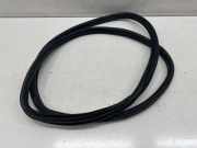 Dichtungsgummi der hinteren Tür (an der Karosserie)