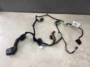 Kabel der vorderen linken Tür FORD C-MAX II (DXA/CB7, DXA/CEU) 1.6 EcoBoost AV6T14A584