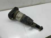 Stoßdämpfer hinten links