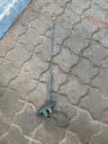 Antenne PEUGEOT 307 SW (3H) 2.0 HDI 90 723847001